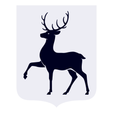 Объявление о проведении конкурсного отбора на предоставление из областного бюджета грантов в форме субсидий СО НКО Нижегородской области на реализацию общественно полезных (социальных) проектов (программ) в сфере укрепления единства российской нации и этнокультурного развития народов России